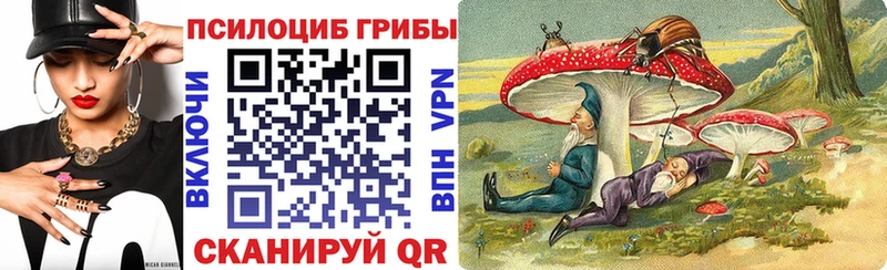 купить закладку  Белоярский  Псилоцибиновые грибы Cubensis 